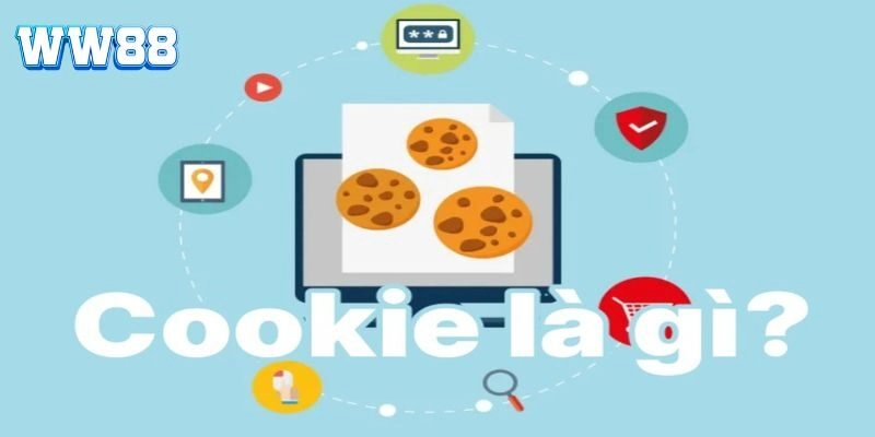 Cái nhìn tổng thể về cookie
